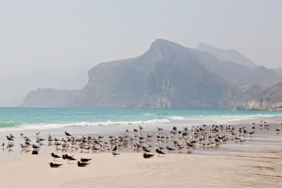Muscat s výlety i relaxací na pláži