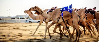 Abu Dhabi All inclusive