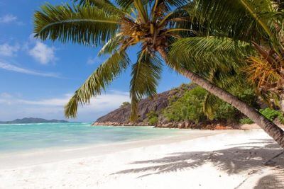 Breakfast at the Beach