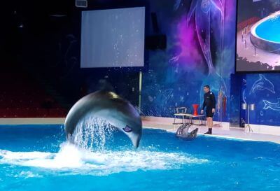 Burdž Al Arab na dohled