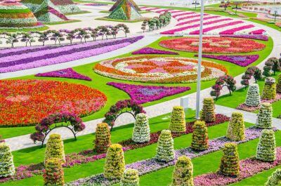 Burj Al Arab is My Neighbour