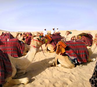 Drahokam arabských šejchů