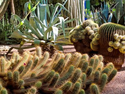 Exotic Marrakech