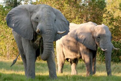 From VicFalls to Okavango