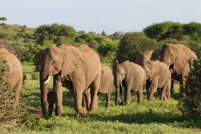 From VicFalls to Okavango