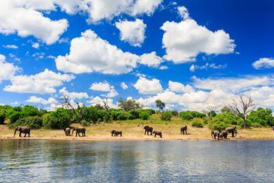 From VicFalls to Okavango