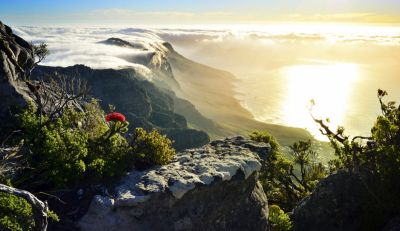 Garden Route na Harley-Davidson