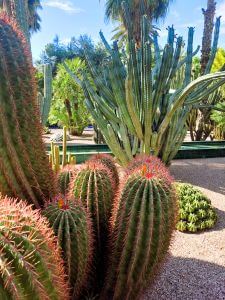 Golfing Paradise in Marrakech