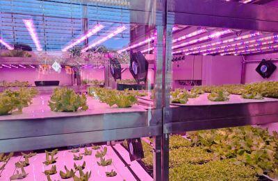 Kde všechno začalo