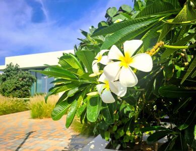 Laid Back Beach Holiday