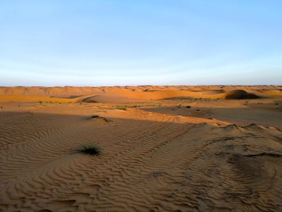 Like a Bedouin