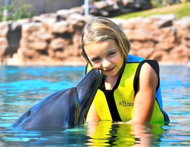 Plavání s delfíny u hotelu Atlantis