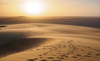 Desert Safari in Qatar