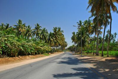 Salalah - The Gem of The South