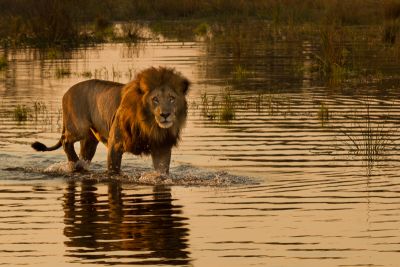 Od Viktoriiných vodopádů po Okavango