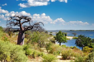 Od Viktoriiných vodopádů po Okavango