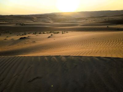 Oman on Your Own