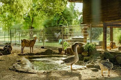 Ostrov pláží a velkých objevů