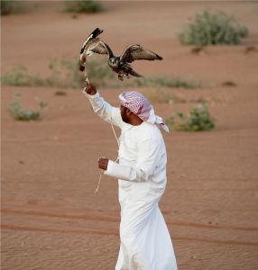 Rezidentem v Dubaji