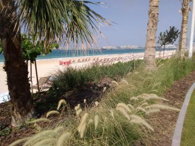 S mořským horizontem