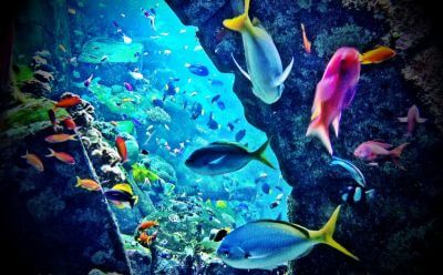 S mořským horizontem