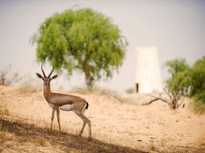 S rodinou do Dubaje luxusně