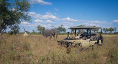 Safari a luxus v Botswaně
