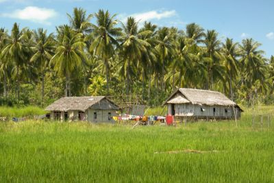 Safari na Bali