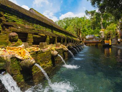 Safari na Bali