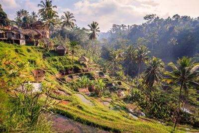 Safari na Bali