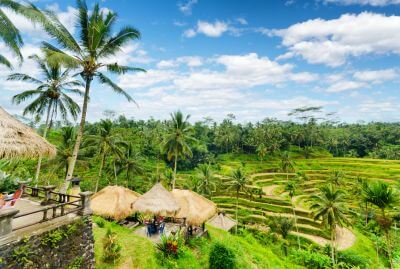 Safari na Bali