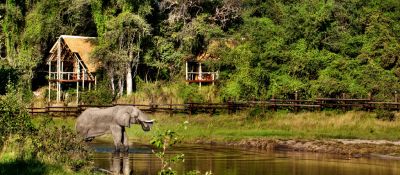 Safari za nosorožci