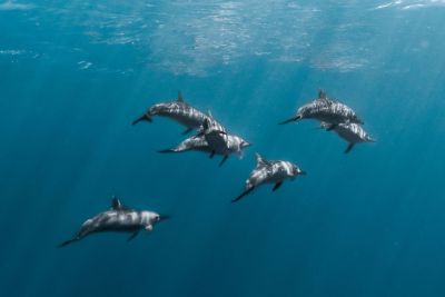 Saúdské poklady Al Ula a Rudé moře