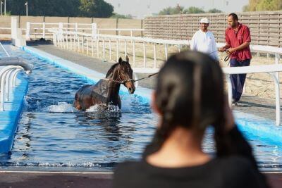 Sport and Relaxation