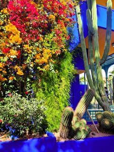 Středomořské Maroko