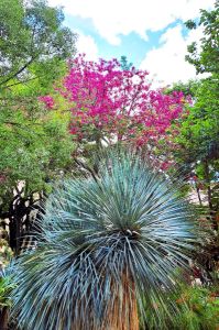 Středomořské Maroko