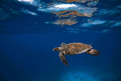 Svěží náhrdelník