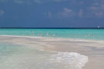 Svěží náhrdelník