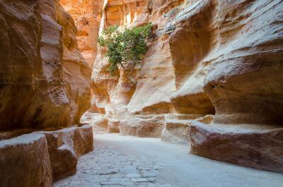 The Bedouin Village