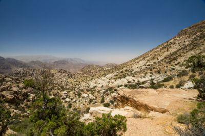 The Bedouin Village