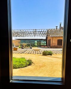 V kraji moringy a olibanu