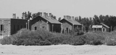 V kraji moringy a olibanu