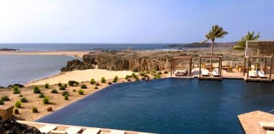 Ve společnosti plameňáků