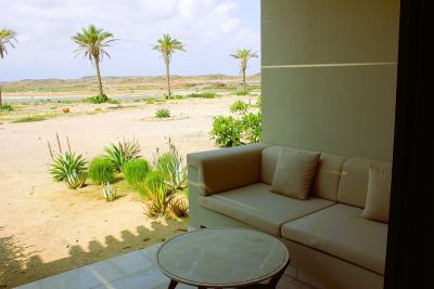 Ve společnosti plameňáků