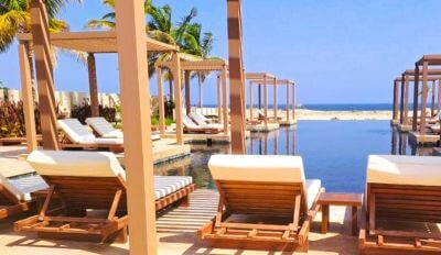 Ve společnosti plameňáků