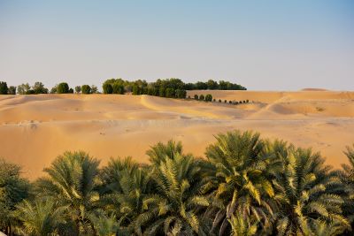 Výborný společník v Abu Dhabi