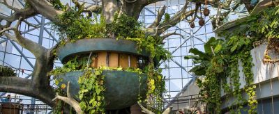 Zábava na Perlovém ostrově