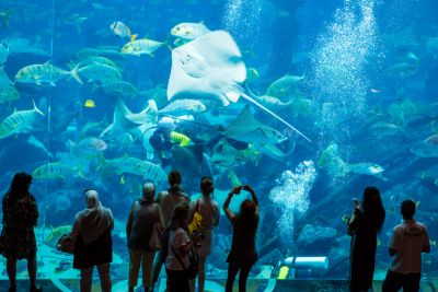 Zábava na Perlovém ostrově