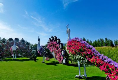 Zábava na Perlovém ostrově