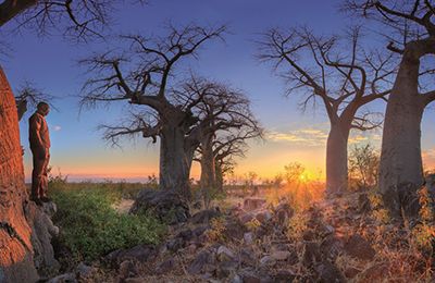 Botswana jako z filmu